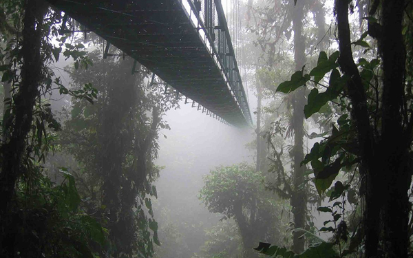 Monteverde Tours Costa Rica