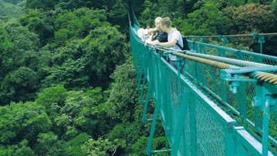 Hanging Bridges La Fortuna