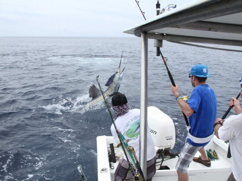 Sport Fishing from San Jose