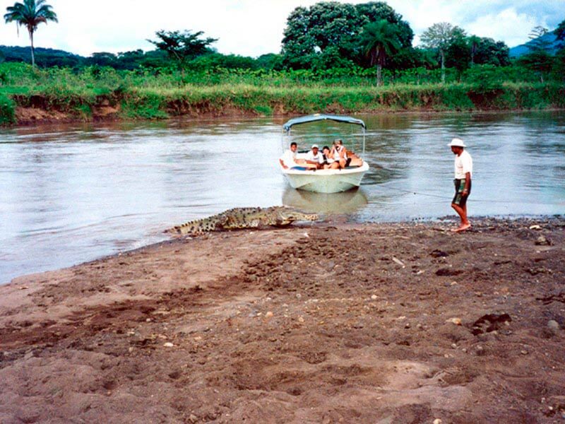 Jaco Crocodile Tour