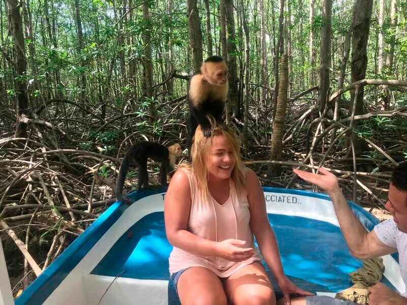 Jaco Monkey Tour