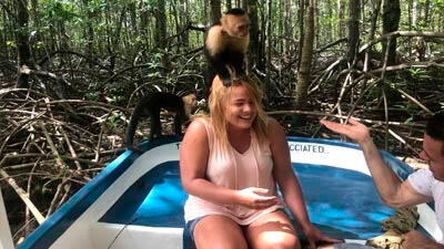 Jaco Monkey Tour