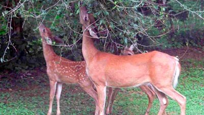 Curu Reserve Montezuma