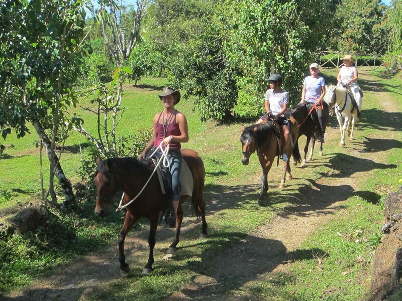 Horseback Riding Montezuma