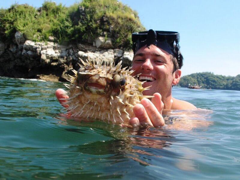 Tortuga Island Tour