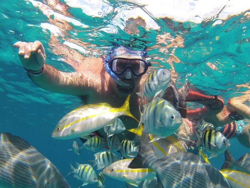 Tortuga Island Tour