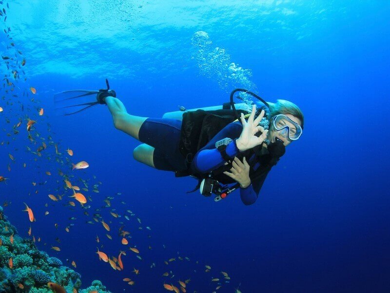 Scuba Diving Manuel Antonio