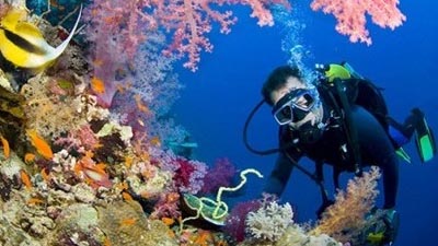 Scuba Diving Manuel Antonio