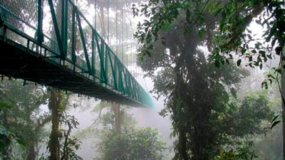 Monteverde Tours