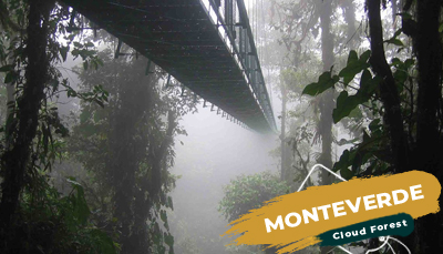 Monteverde Cloud Forest Reserve