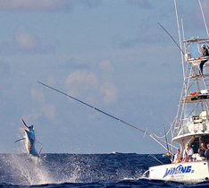 Fad Fishing Costa Rica