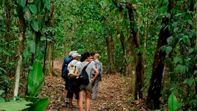 Corcovado National Park