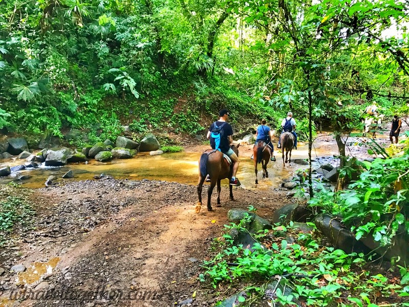 Nauyaca Waterfalls Tour