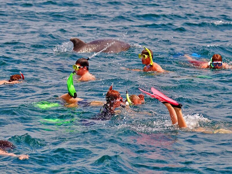 Snorkeling Dominical